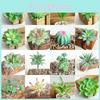 Vibrantly Colored Artificial Succulent Diy Faux Plant For Lifelike Garden Decor