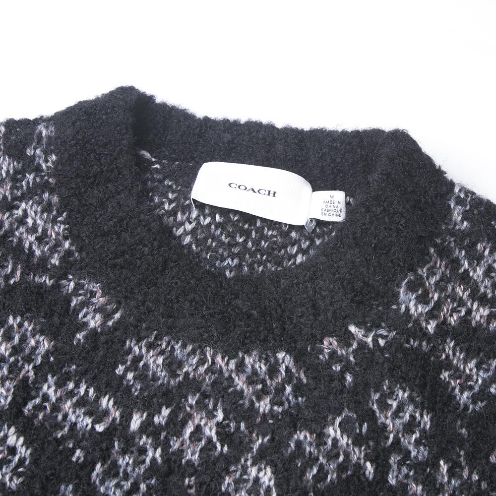 Coach FW22 Pattern Printed Loose Casual Crew Neck Long Sleeve Sweatshirt Women Sweatshirt Black CF886-BK-BR
