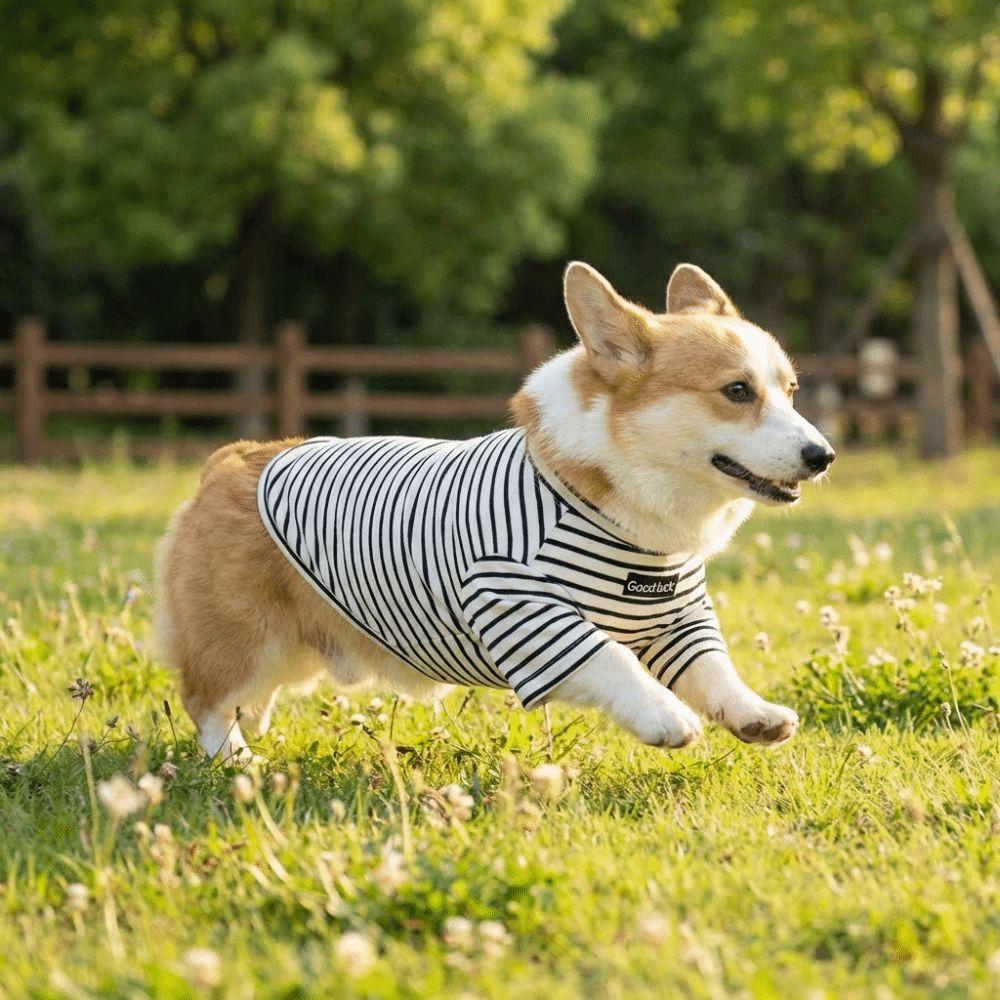 Warm Dog Base Coat High Collar Striped Sweatshirt Cat Household Wear Dog T-shirt  Indoor Use