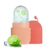 Silicone Face Ice Grid, Ice Ice Cube Mold Ice Roller Facial Massage Silicone Ice Grid Wet Compress Cooling