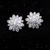 1 Pair Stud Earrings, Cubic Zircon Inlay Women Earrings, Alloy Polished Surface Ear Studs, Versatile Style Jewelry Accessories