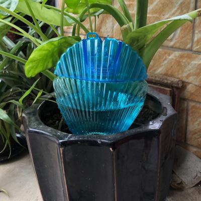 Self Watering Bulbs for Indoor Outdoor Plants Shell Shaped Automatic Plant Waterer