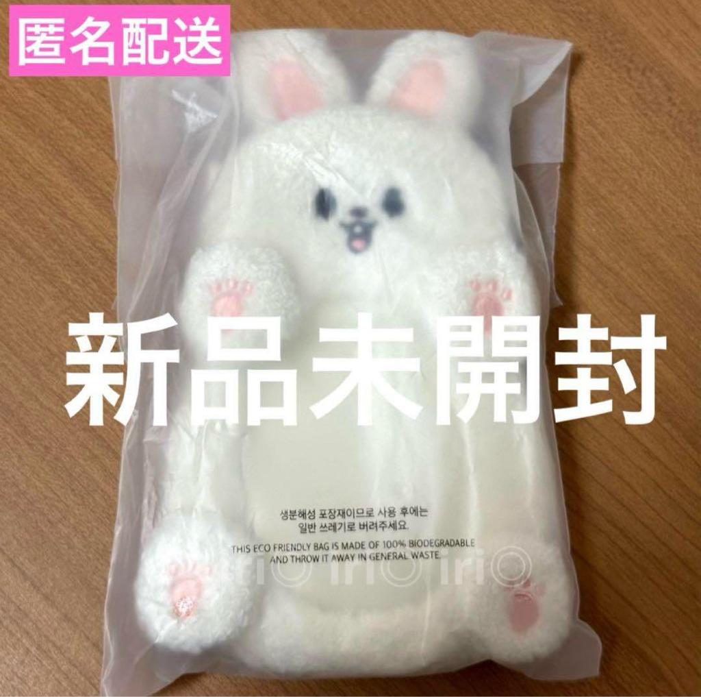 [USED] Leavitt Reno Reel Holder Trading Card Case Stray Kids Fan Club Japan