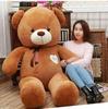 Plush Teddy Bear Rag Doll Toy Collection