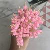 100Pcs Burger Bamboo Sticks Disposable Fruit Cocktail Sticks Snack Skewers Festival Wedding Party Buffet  Sandwich Decoration