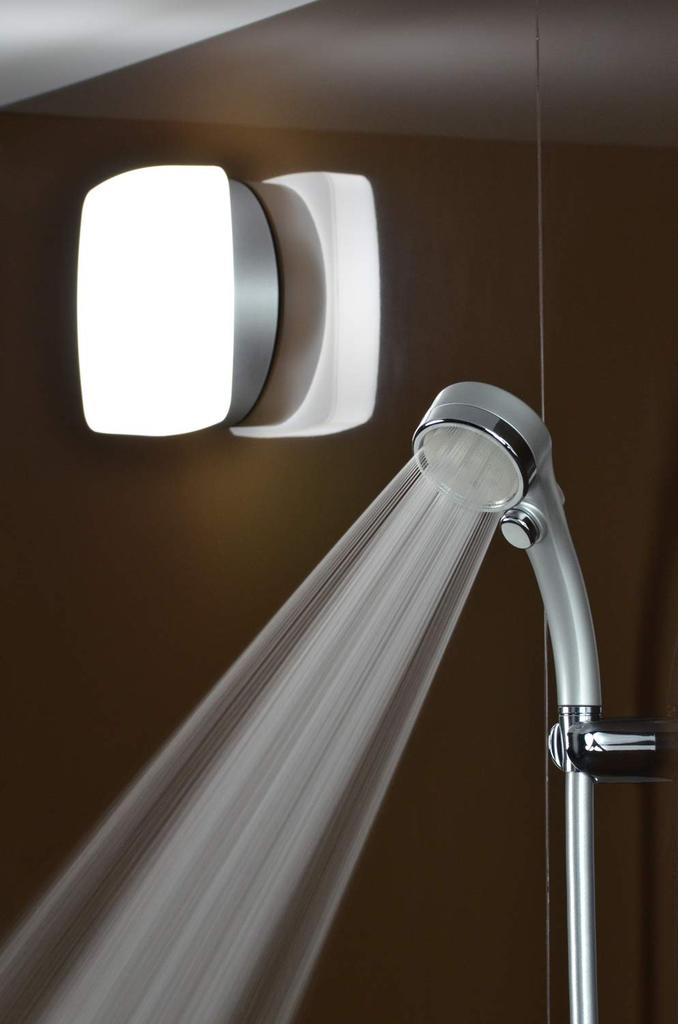 KAKUDAI Water Purification Stop Shower Platinum Silver Head, Li-Large, 357-916-S,