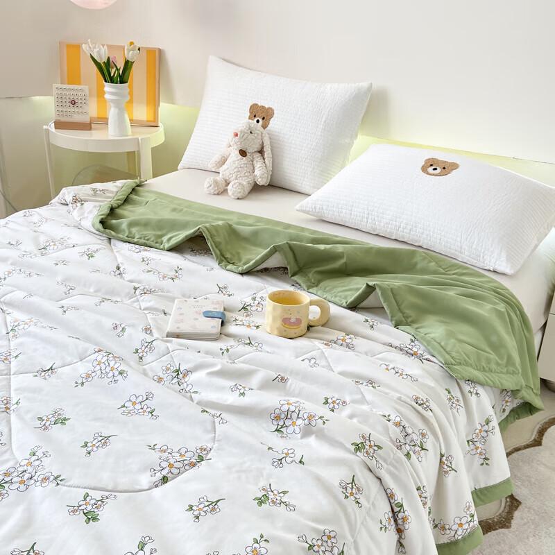 Paul David All-Season Skin-Friendly Quilt