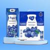 Mengniu Chunzhen Blueberry Yogurt Drink