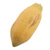 Artificial Cacao Pod Fake Cocoa Fruit Display Prop Cafe Counter Retail Showcase Decorative Natural Texture Cacao Pod Decor