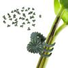 100Pcs Orchid Stem Clamp Versatile Stable Eco-friendly Plant Support Clips for Healthier Productive Plants