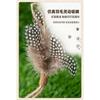 Feather Hemp Ball Cat Toy Bite Resistant Interactive Pet Toy
