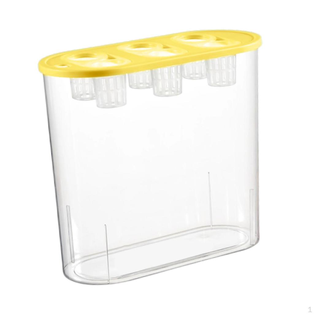 Grower Box, Hydroponics Tool, 6 Holes, Powerful, Practical Rectangular Planting Container for Indoor