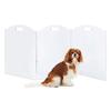 Cães – Casotas, tocas, currais