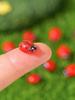 100/20PCS pieces of resin ladybug figurines, garden and courtyard micro landscape succulent pot decoration handicrafts