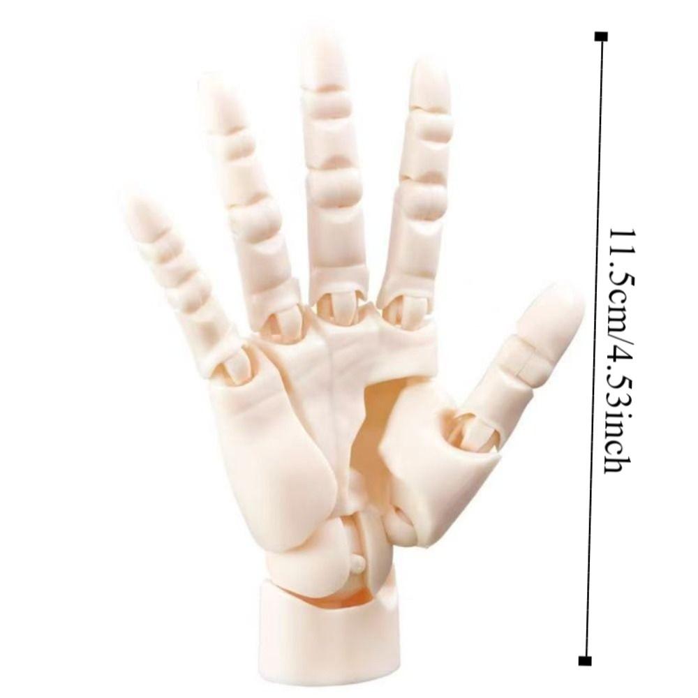 Biomimetic Hand Joint Movable Model Right Hand Anime Hand Model  For Displaying