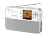 SONY portable radio recorder R51 ICZ-R51