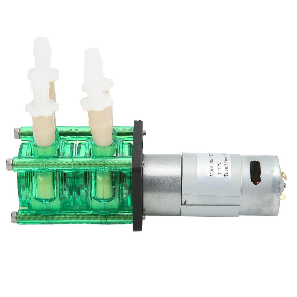 Dual Head High Flow Corrosion Resistant Peristaltic Pump Liquid Dosing Pump with BPT Tube 700mlmin