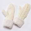 Thicken Fleece Liner Winter Mittens for Women and Teens Fashionable and Warm Hand Gloves for Winter Activity