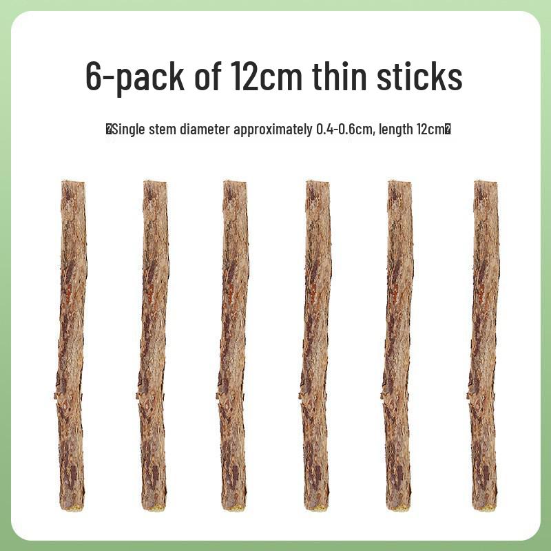 Catnip Lollipop: Cat Treat & Teaser with Matatabi Teething Stick