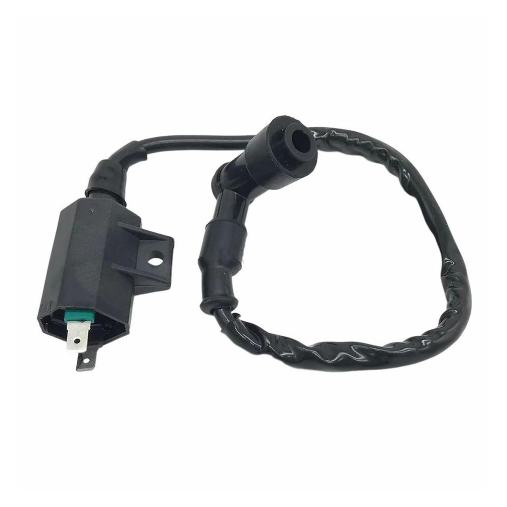 Motorcycle Ignition Coil Ignition Coil for Eliminator 125 KLX110 BN125 KLX300 KLR650 125CC Ignition Starter