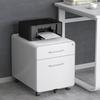 Tsinghua Tongfang Aurelian Mobile Steel Office Cabinet