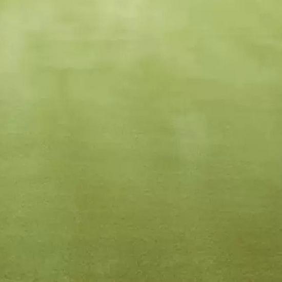 Temu Solid Color Non-Slip Absorbent Bathroom and Toilet Entrance Mat