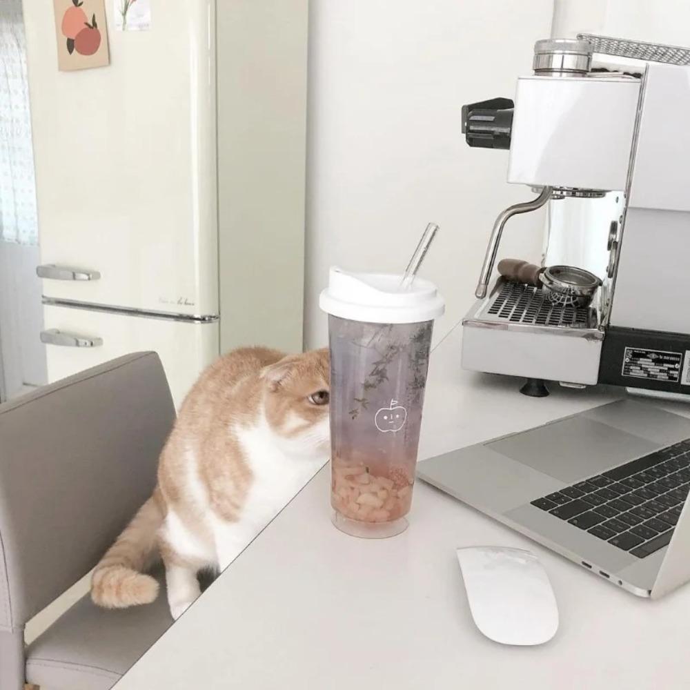 Transparent Water Cups 355ml/473ml Drinking Bottle Portable Water Bottle  For Juice Milk Tea Coffee