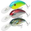 TRUSCEND Crankbait The Best Choice for Family Ideal for Beginners and with Lip - Fishing, Kids,