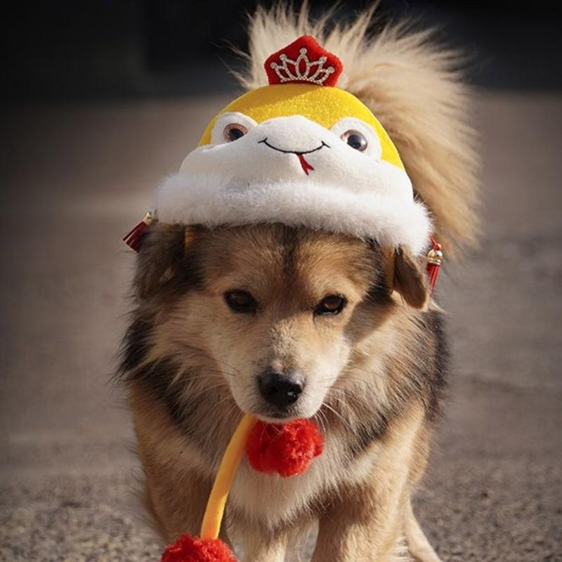 Winter Pet Hat Chinese New Year Snake Theme Headwear Hat For Holiday Celebration Dog Cats Head Accessory