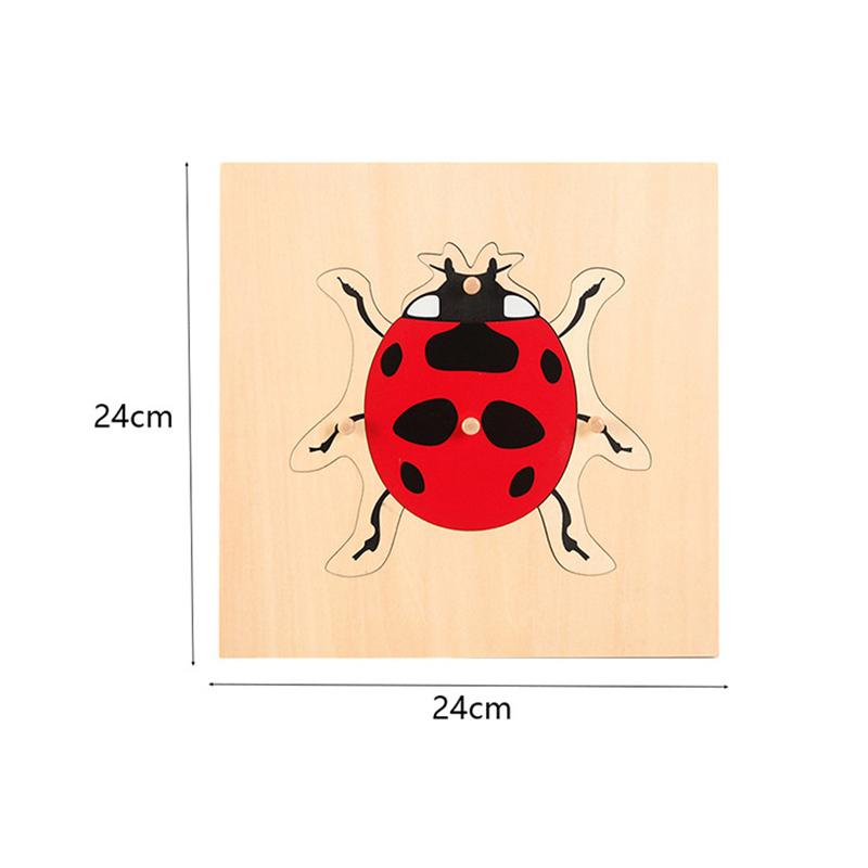 Montessori Puzzels Parochie Leren Lesmateriaal Diereninsecten Cognitief Houten Paneel Puzzels Vroege Educatieve Speelgoed Voor Kinderen