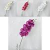 Phalaenopsis Aphrodite Rch Artificial Flower For Wedding Decor And Home Arrangement