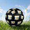 Ifk Lion Crest Emblem Size 5 Soccer Ball,Indoor/Outdoor Suitable for Training Matches Tournaments Practice Games Perfect Gift for Fan