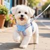 Set Pettorina e Guinzaglio per Cani Traspirante Senza Strangolamento Step-in Pettorina a Gilet per Cani Piccoli Pettorina Regolabile per Cuccioli Rosa Blu Giallo