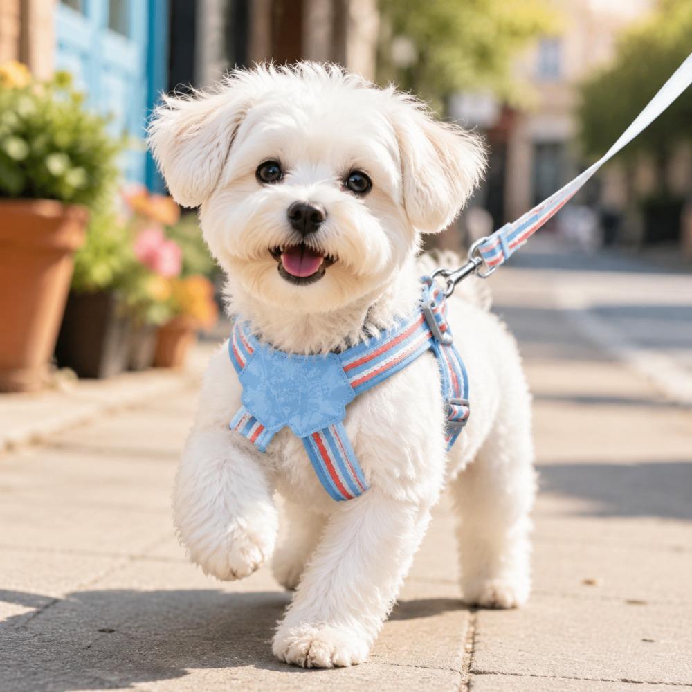 Set Pettorina e Guinzaglio per Cani Traspirante Senza Strangolamento Step-in Pettorina a Gilet per Cani Piccoli Pettorina Regolabile per Cuccioli Rosa Blu Giallo