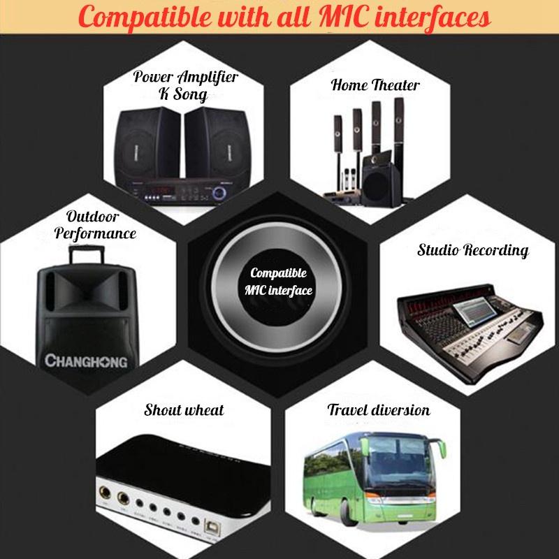 Professional Wireless Microphone System Handheld UHF Channels Dynamic Mic Karaoke Computer KTV Wedding Meeting Receiver