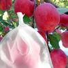 105pcs Breathable Non-woven Drawstring Fruit Protect Bags for Grape, Apple, Pear, Farm Crop Growing Protection Accessories YMY