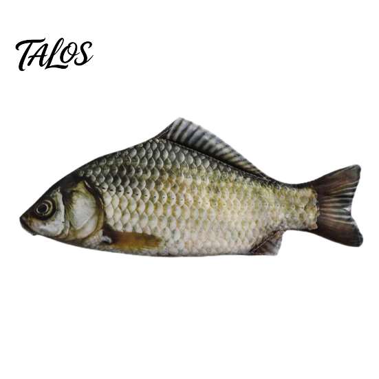 Creative School Supplies Realistic Crucian Carp Pencil Case, 3D Bionic Fish Shape Stationery Humorous Gifts for Teens Pouch, Large Capacity