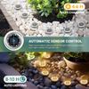 Outdoor Solar Garden Lights With Stainless Steel Embeded Design For Pathway Illumination