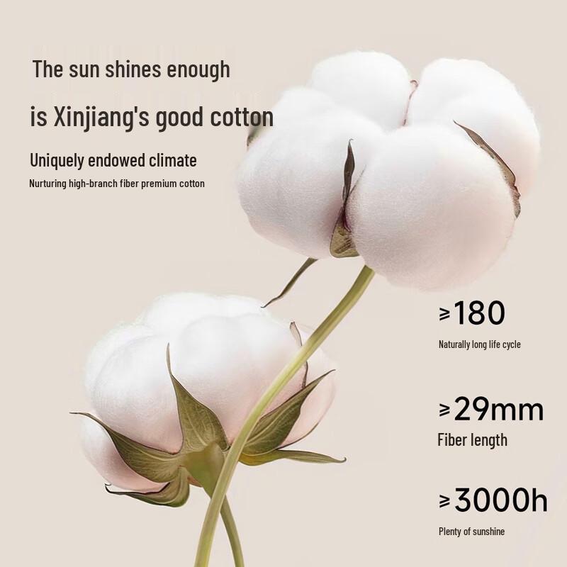 Yiershuang V-Shaped Low-Rise Maternity Underwear