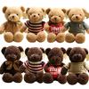 Teddy Bear Doll Plush Toy Children's Pillow Rag Doll Night Market Gift Gifts Gifts Floor Stand