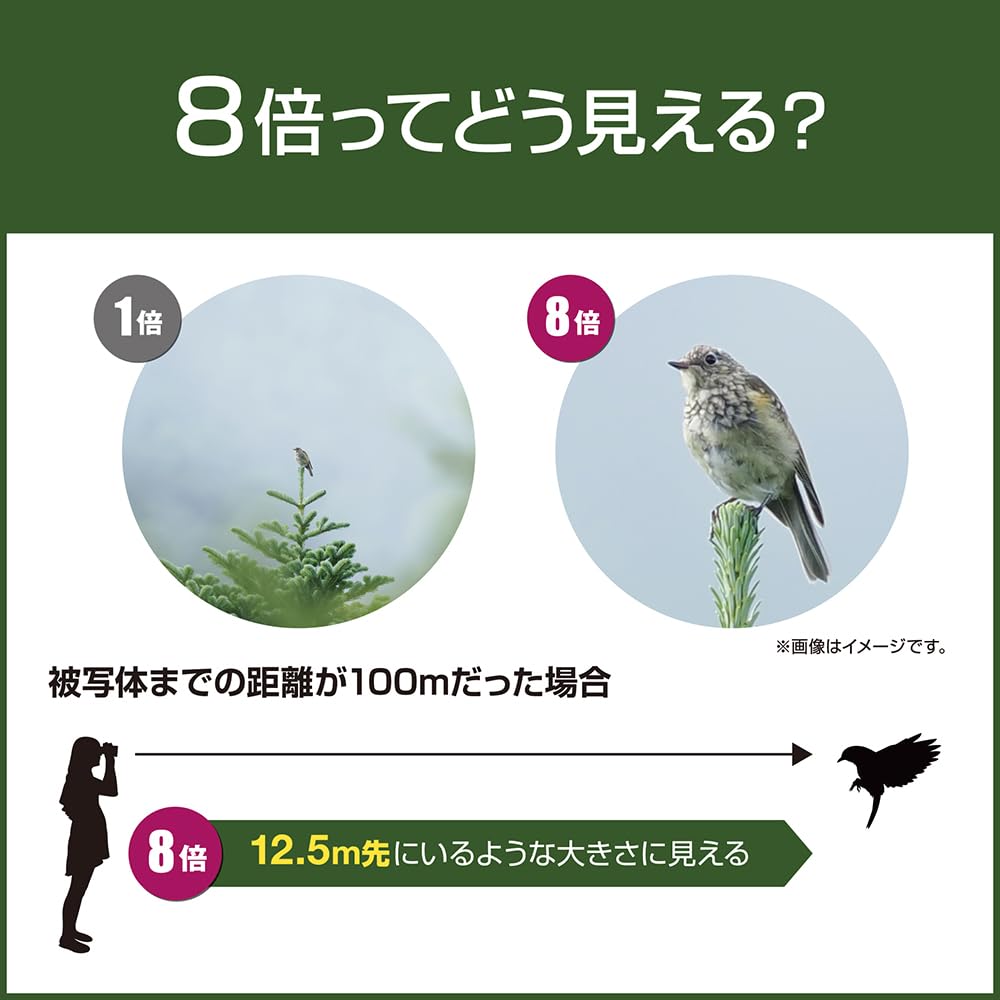 OM Live Easy 8x21RC II WP BLU SYSTEM/Olympus Binoculars, Travel, Performances, Theater, Sports, Operation, Waterproof,