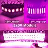 20PCS/lot Multicolour 12V 220V COB Light Led Modules Three Types Backlight Shop Banner Waterproof IP65 Advertising Decorations