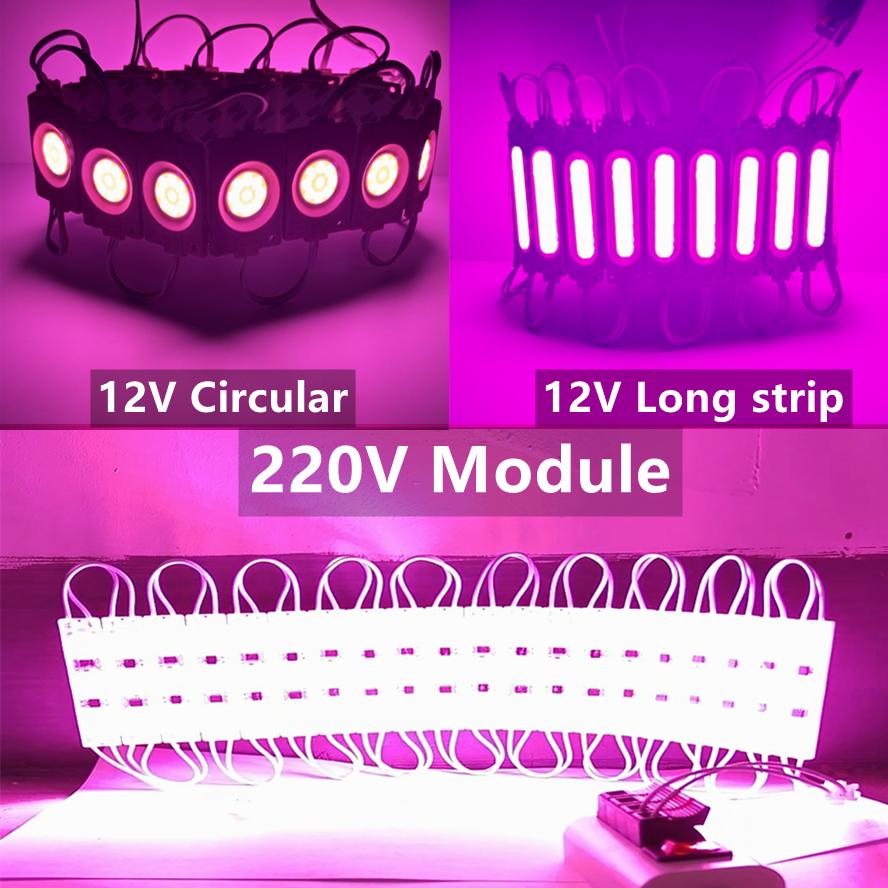 20PCS/lot Multicolour 12V 220V COB Light Led Modules Three Types Backlight Shop Banner Waterproof IP65 Advertising Decorations