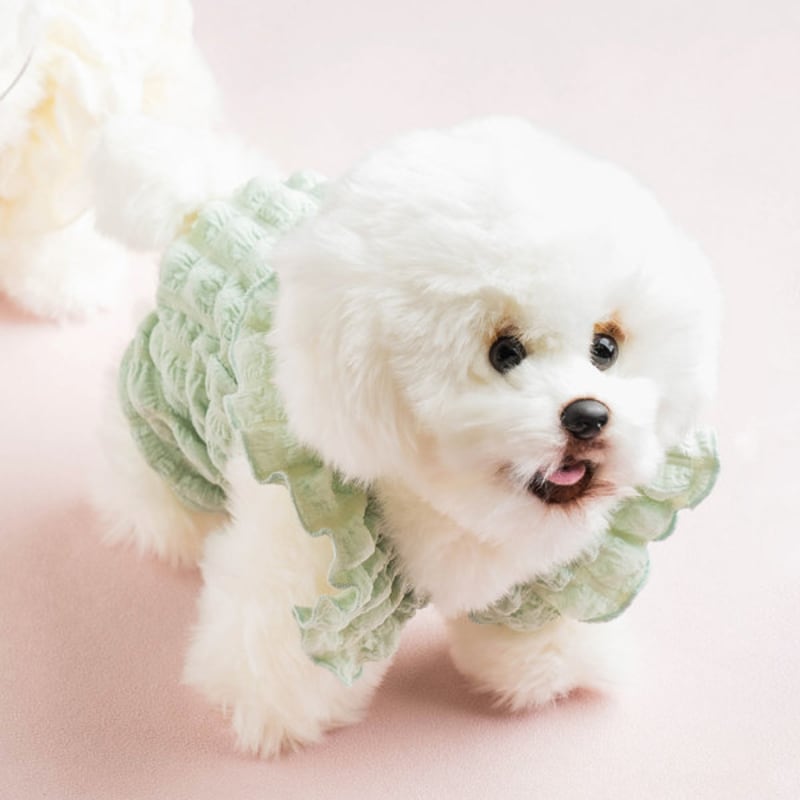 

[Pet] Pumpkin One Piece L