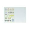 Sun-Star Stationery Chiikawa Goods Notebook Japonica Free Notebook [Set of 4] Chiikawa, Hachiware, U