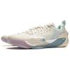 Li Ning All City 13 Niedrige Basketballschuhe Herren Weiß Blau ABAV017-1