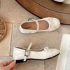 Silver French ballet style light mouth low heel single shoes women's 2025 new summer skirt JK versatile Mary Jane shoes