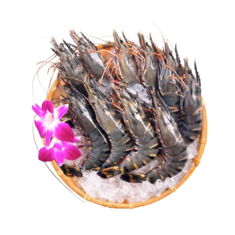 Frozen Black Tiger Shrimp