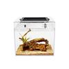 Reptile Growth Small Reptile Cage, Transparent Reptile Cage, Terrarium for Small Animals, Turtles, Turtles, Amphibians, and Other Animals, 20 X 20 X 1