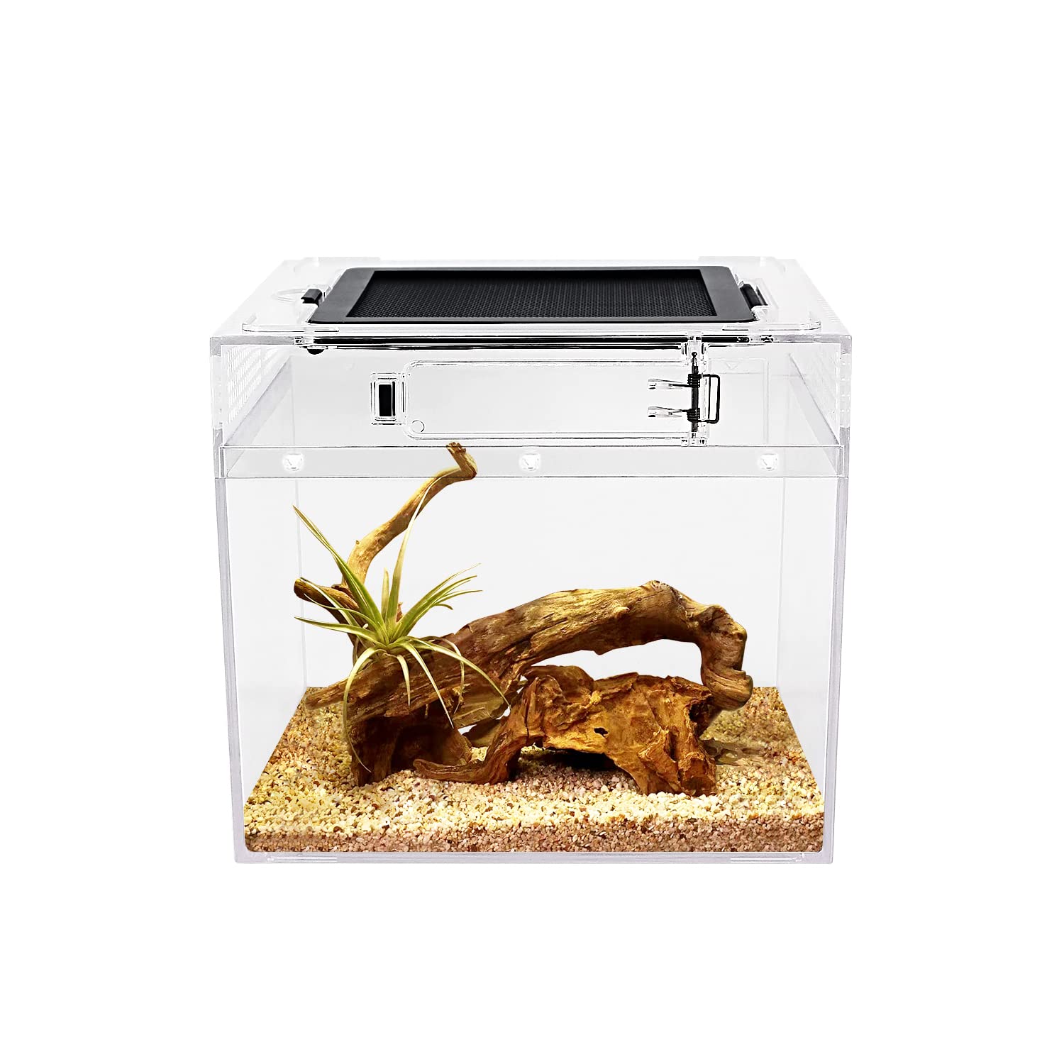 Reptile Growth Small Reptile Cage, Transparent Reptile Cage, Terrarium for Small Animals, Turtles, Turtles, Amphibians, and Other Animals, 20 x 20 x 1
